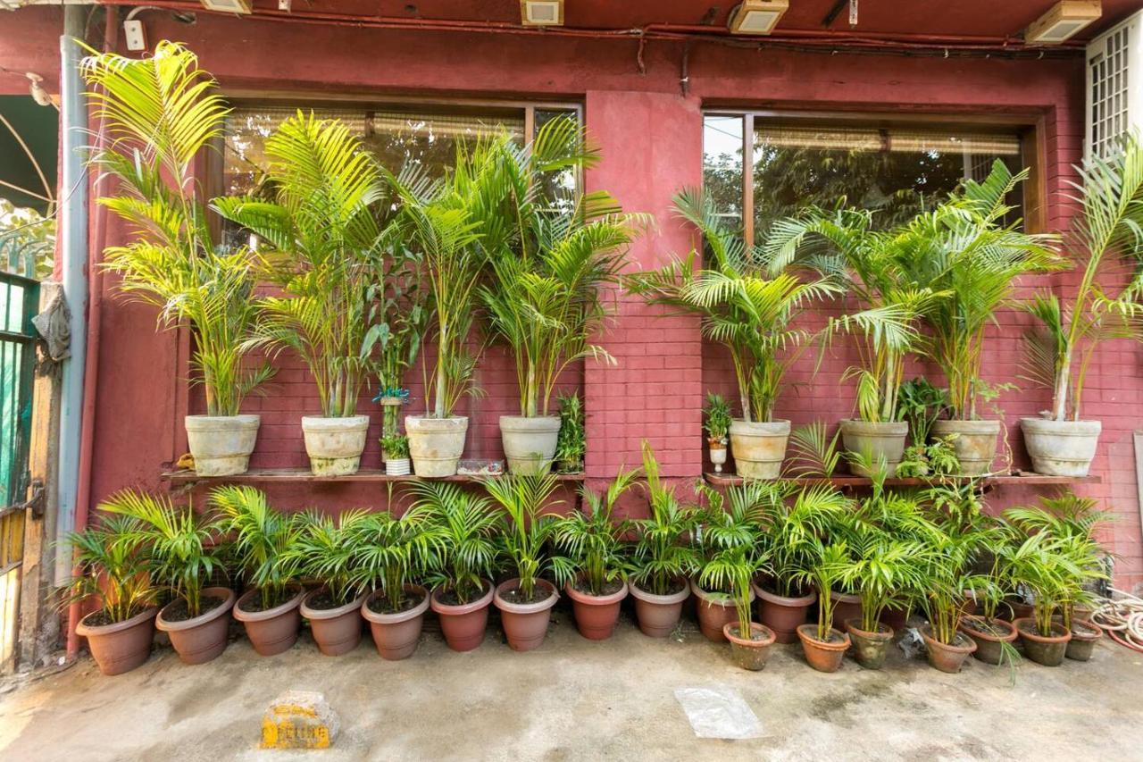 Moydom & Cosy Private 1 Bhk Opp Nfc Market