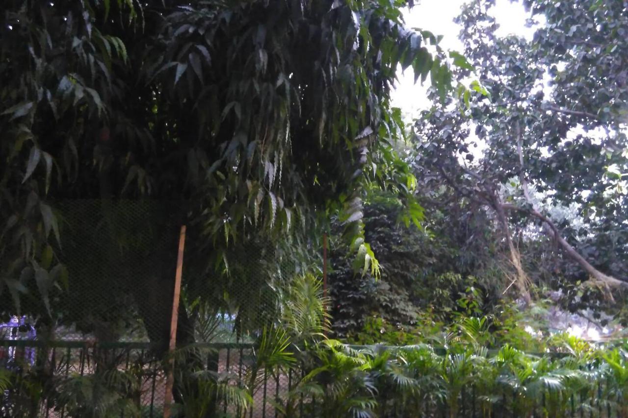 Moydom & Cosy Private 1 Bhk Opp Nfc Market Apartment New Delhi